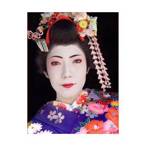 ILFORD Smooth Gloss for FineArt Album, 310 g/qm, 210x245mm