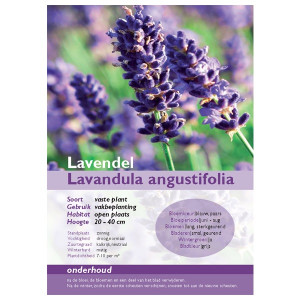 AppFactory Expert PET Film, Hochglanz/Matt, 250 g/qm, A4, 100 Bla