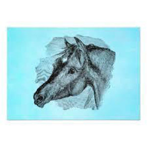 AppFactory Expert PET Film, hellblau, 170 g/qm, SRA3, 100 Blatt