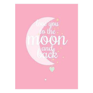 AppFactory Expert PET Film, hellrosa, 170 g/qm, SRA3, 100 Blattv