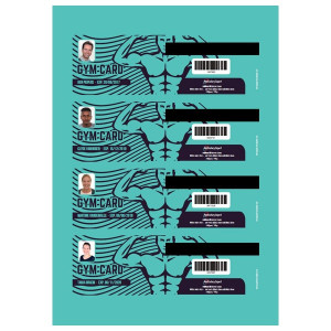 AppFactory Expert PET Film, weiss matt- Ausweis , 260g/qm,A4,500