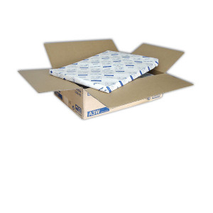 Epson Premium Luster Photo Paper, 260g/qm, DIN A3+, 100 Blatt