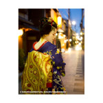 ILFORD GALERIE Prestige Washi Torinoko, 110 g/qm, A3+, 25 Blatt