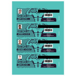 AppFactory Expert PET Film, weiss matt- Ausweis , 260g/qm,A4,500