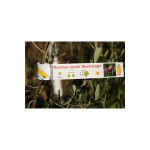 AppFactory Expert PET Film, weiss matt - Schlaufe, 160 g/qm,A4,10